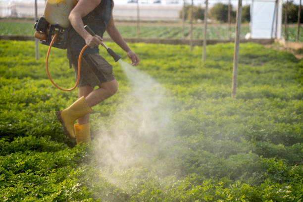 Best Wasp Removal Services  in Waterville, MN