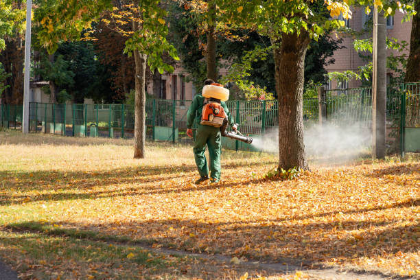 Professional Pest Control in Waterville, MN