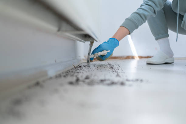 Professional Pest Control in Waterville, MN